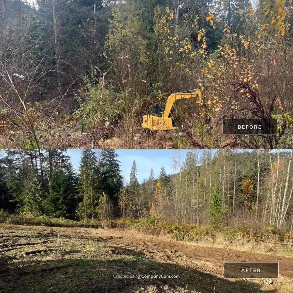 Land Clearing in Fraser Valley underway as equipment removes brush from an overgrown building lot
