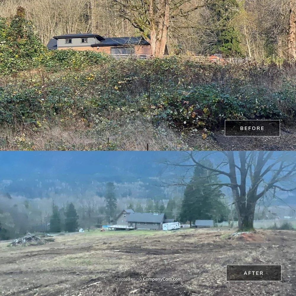 Crew performing fire mitigation on a Fraser Valley hillside by thinning brush near a driveway