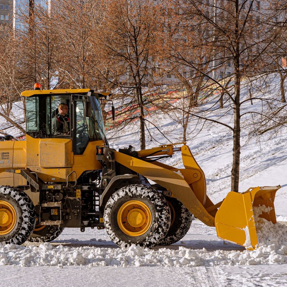 Wheel loader with a snow plow blade clearing snow beside bare trees
