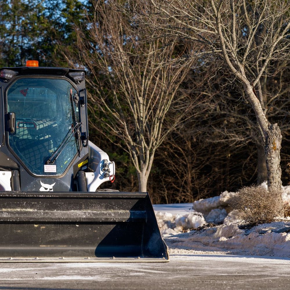 Skid steer with a bucket clearing snow near bare trees