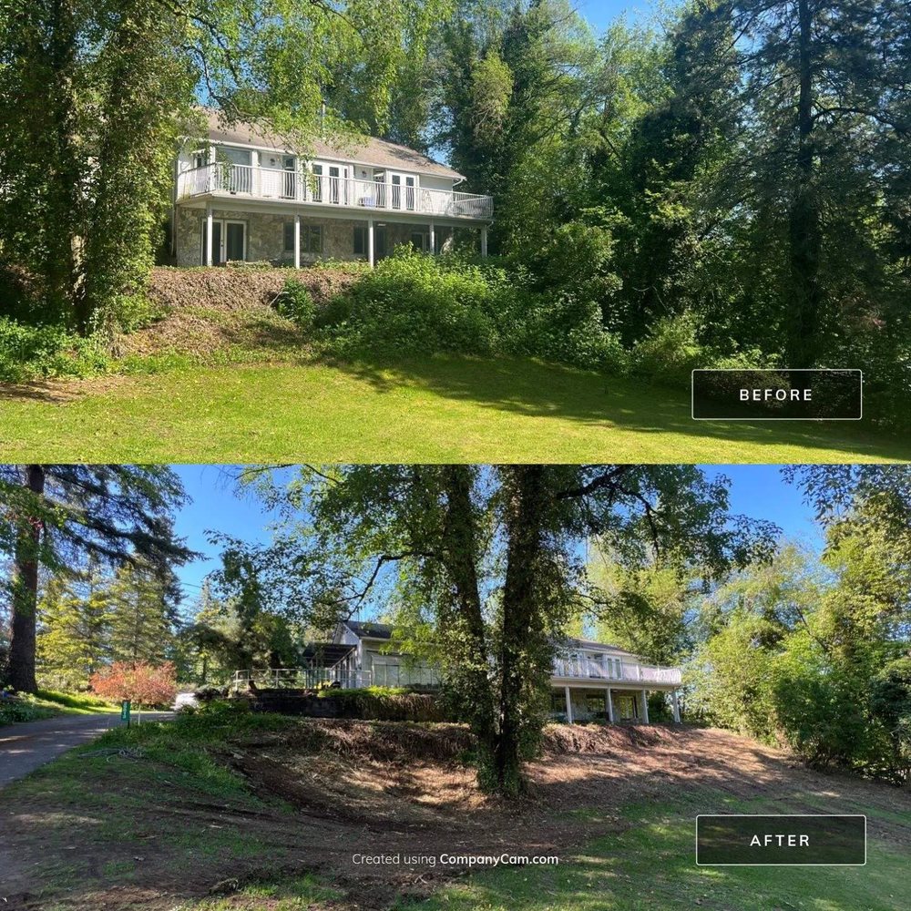 Before and after views of a wooded yard cleared of overgrown trees and brush around a house