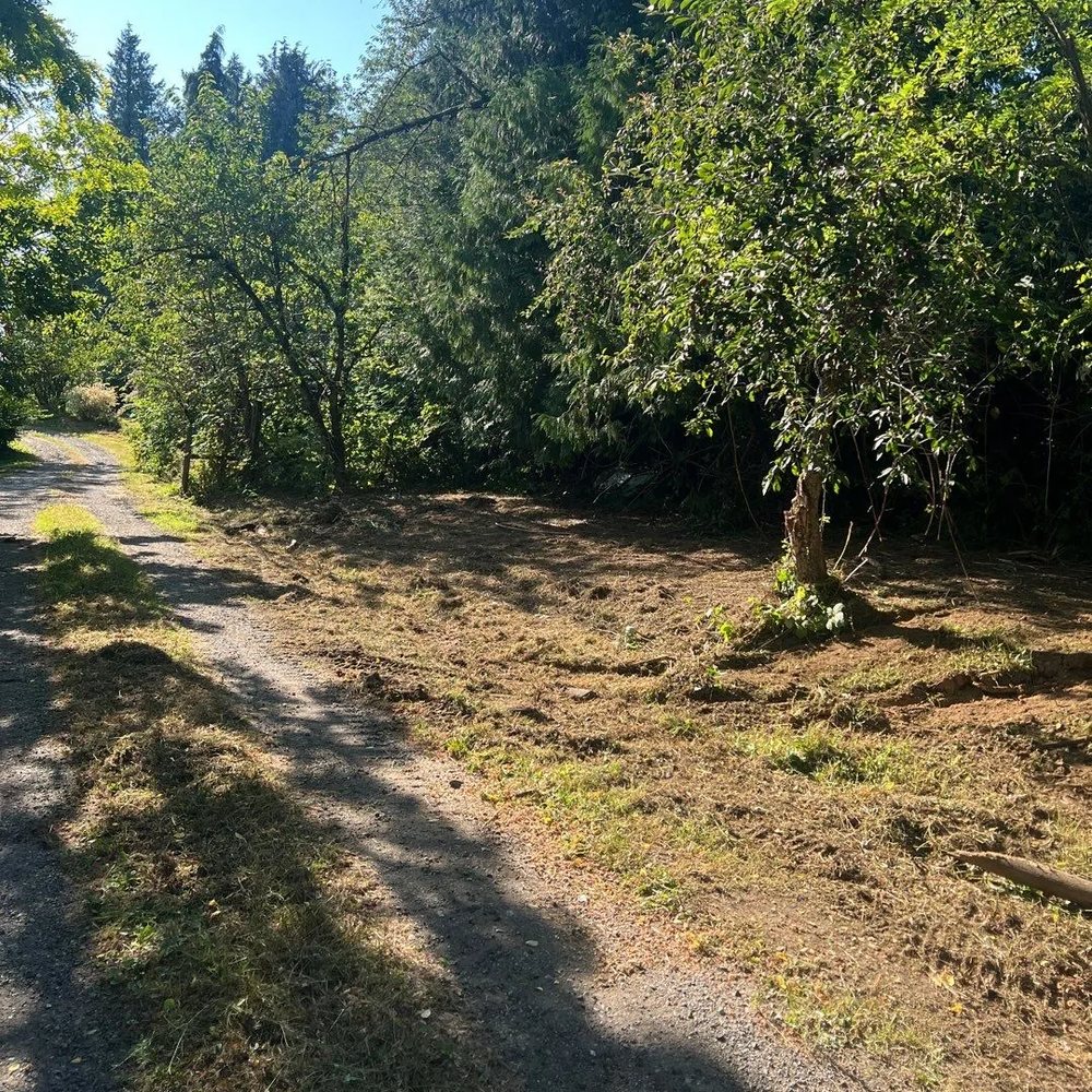 Gravel lane beside a cleared strip of ground along a tree line
