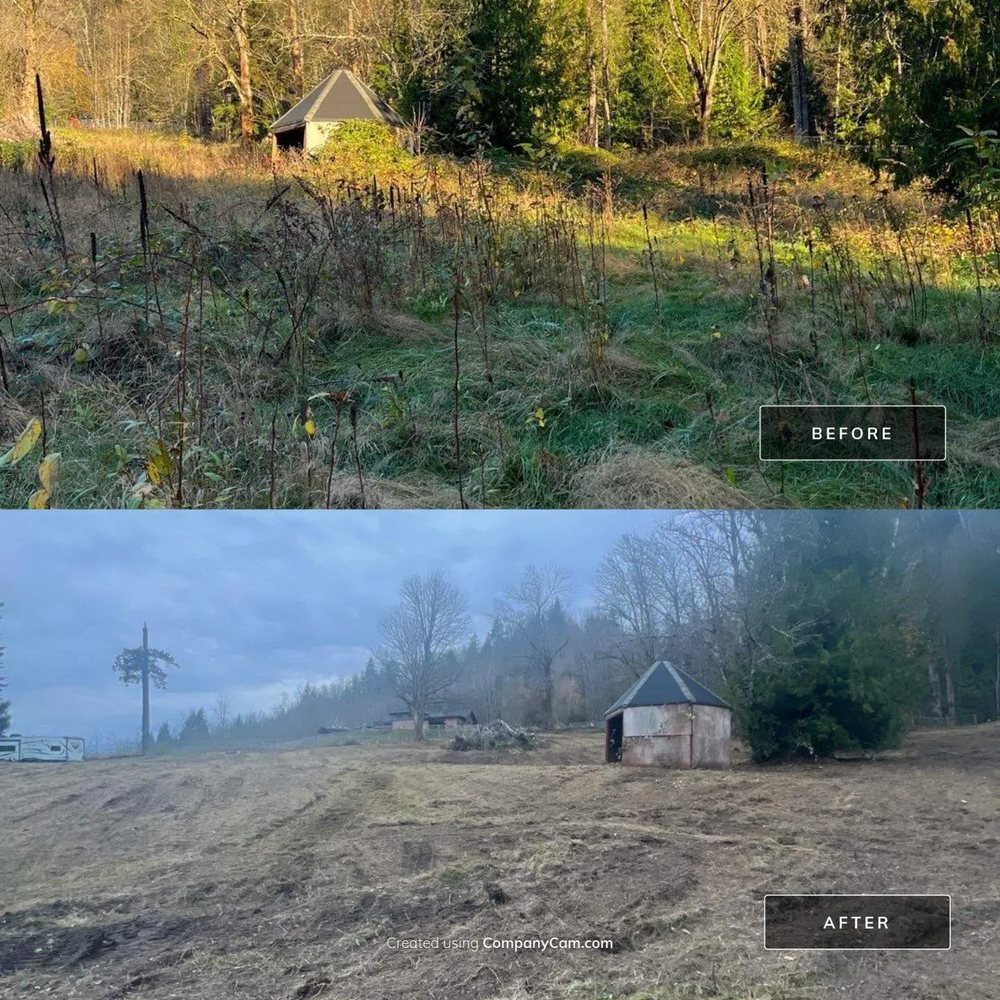 Before and after views of an overgrown lot cleared down to bare ground