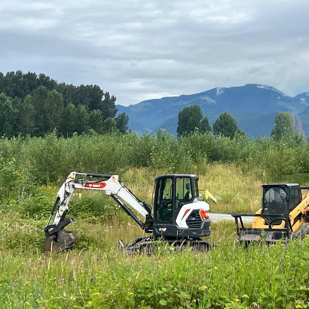 Compact excavator and skid steer clearing tall grass and brush with mountains behind