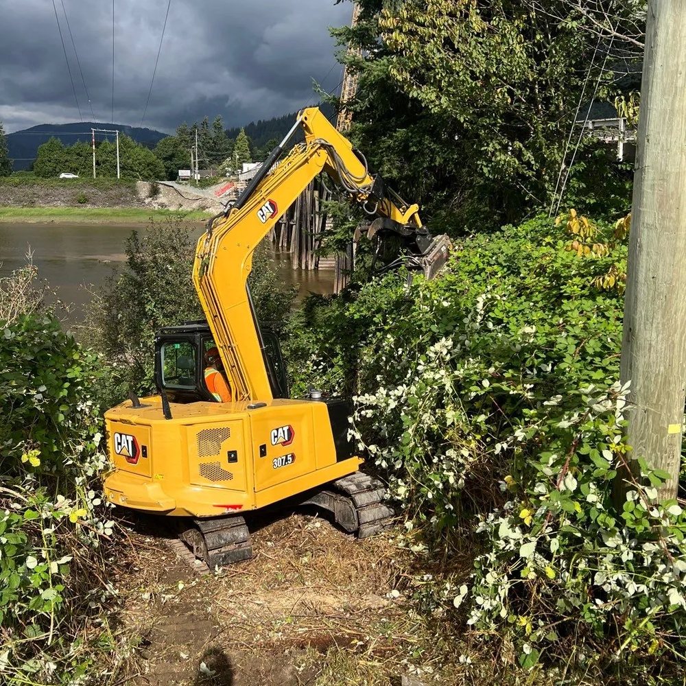 Tracked excavator clearing brush and small trees beside a power pole