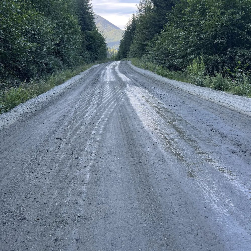 Wet gravel road running between tall evergreen trees