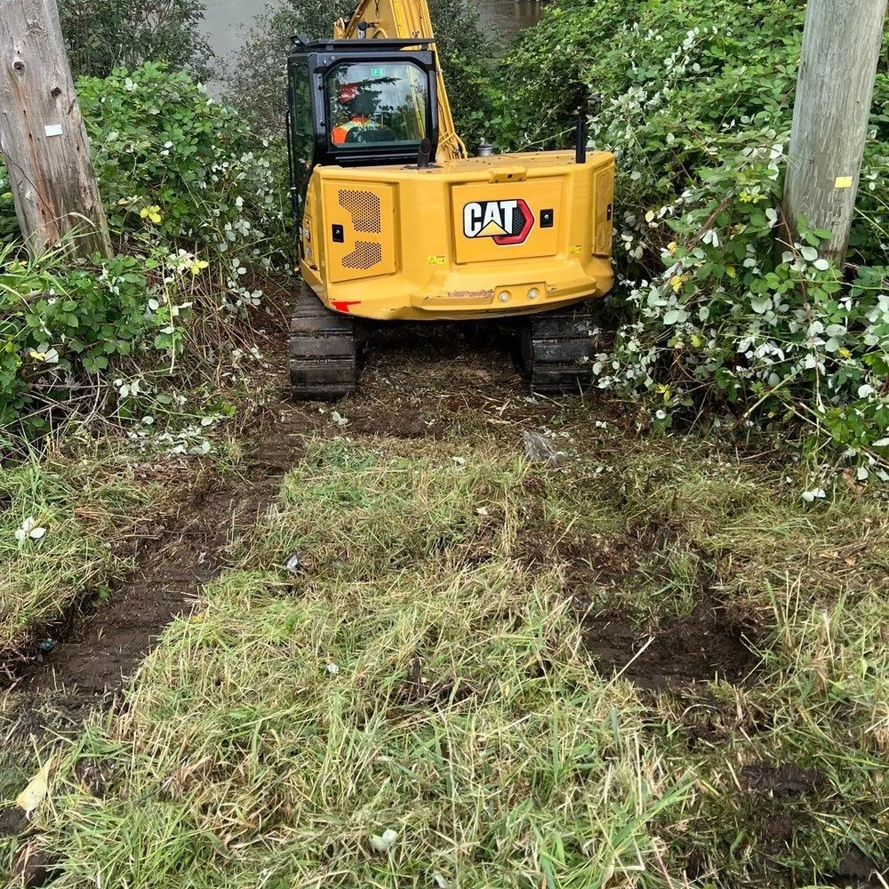 Tracked excavator clearing a strip of brush between trees and a utility pole