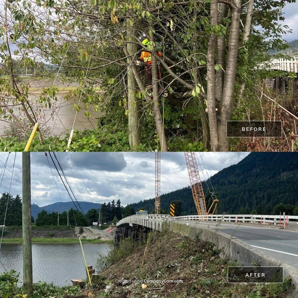 Before and after views of a roadside bank cleared of trees and brush